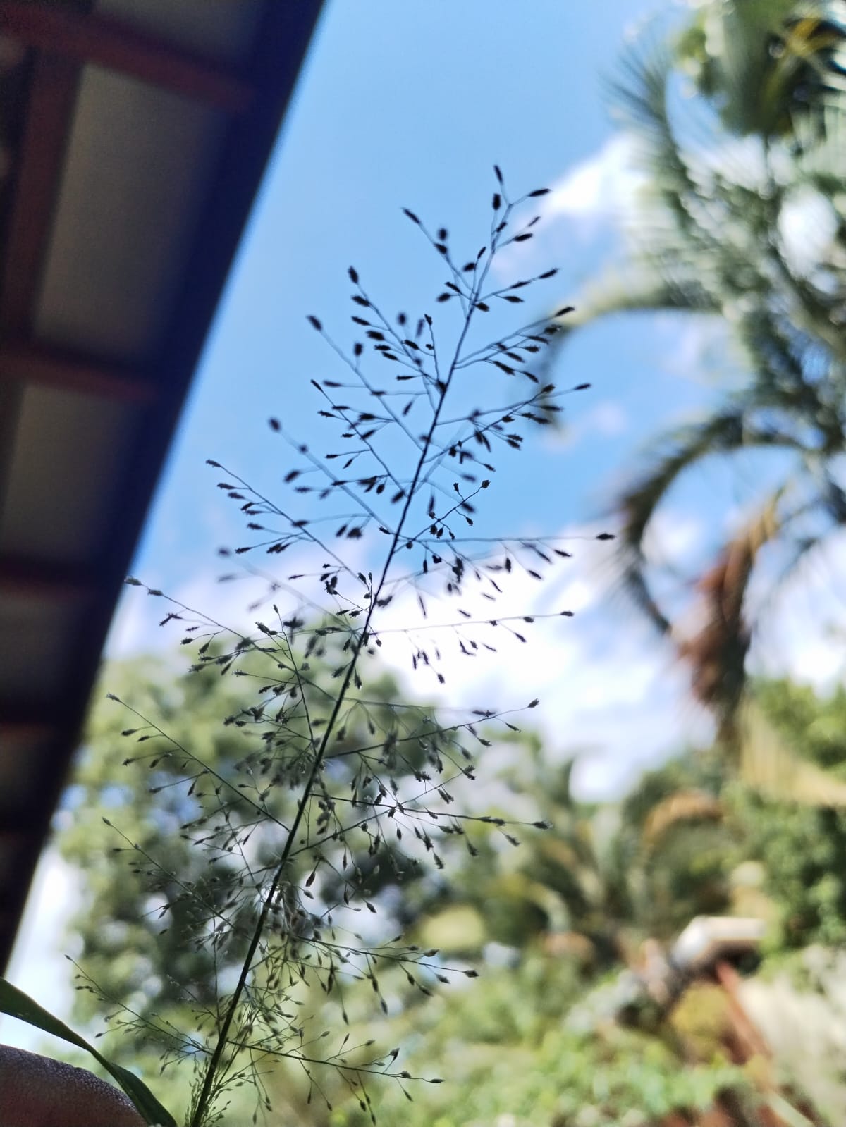 WhatsApp Image 2025-11-10 at 13.08.05 (2)