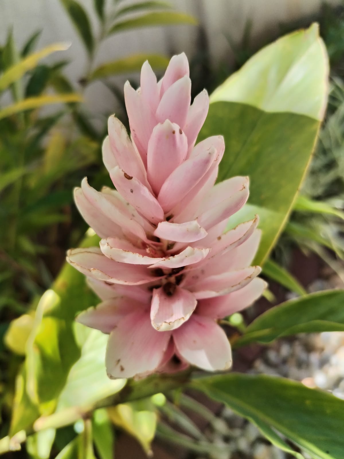 WhatsApp Image 2025-11-10 at 13.08.05 (3)