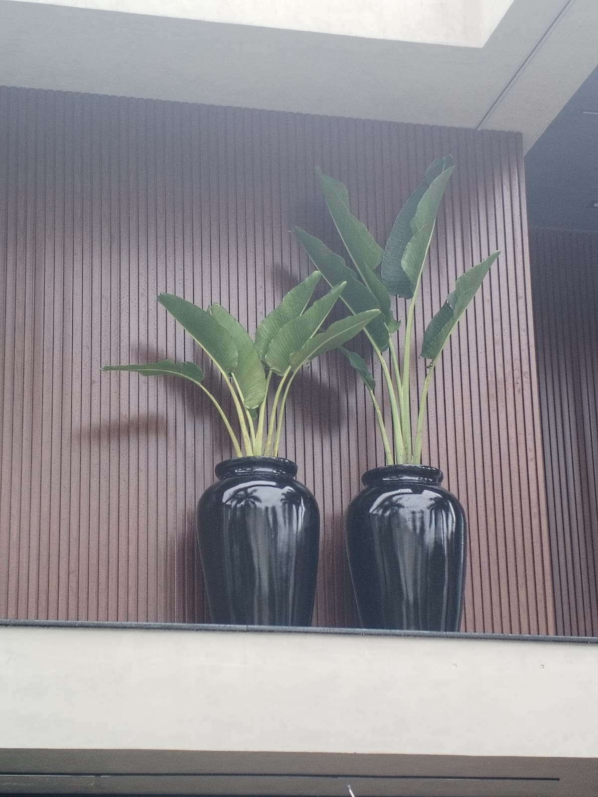 WhatsApp Image 2025-11-10 at 13.08.06