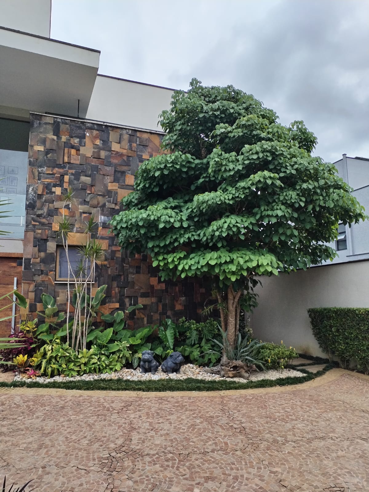 WhatsApp Image 2025-11-10 at 13.08.08 (1)