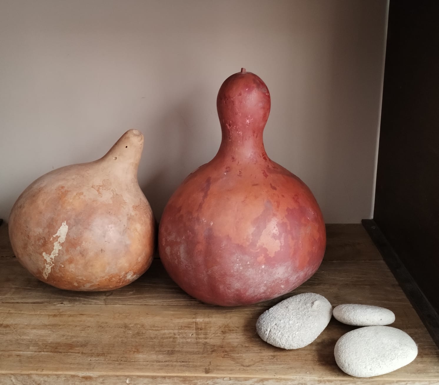 WhatsApp Image 2025-11-10 at 13.08.08